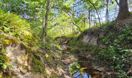 Photo #30 of SOLD property in Off Salem Church Road, King George, VA 87.0 acres
