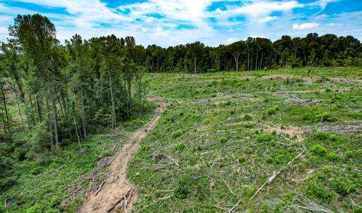 Photo #32 of SOLD property in Off Salem Church Road, King George, VA 87.0 acres