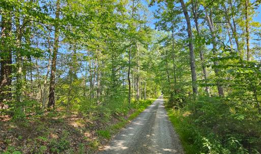 Photo #40 of SOLD property in Off Salem Church Road, King George, VA 87.0 acres