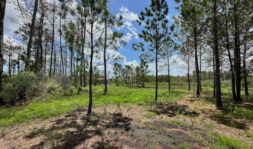 Photo #14 of SOLD property in 713 Sawyer Rd,  Scranton , NC 10.4 acres