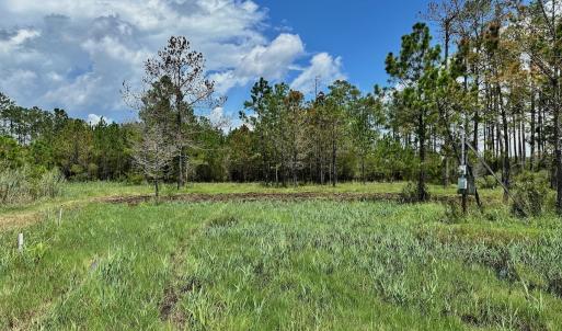 Photo #2 of SOLD property in 713 Sawyer Rd,  Scranton , NC 10.4 acres