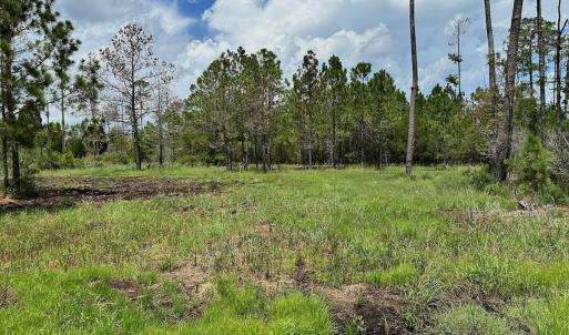 Photo #4 of SOLD property in 713 Sawyer Rd,  Scranton , NC 10.4 acres