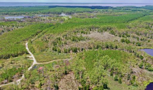 Photo #7 of SOLD property in 713 Sawyer Rd,  Scranton , NC 10.4 acres