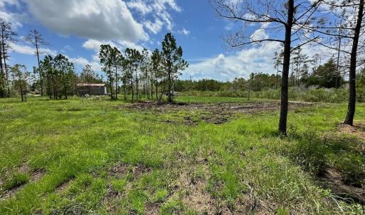 Photo #8 of SOLD property in 713 Sawyer Rd,  Scranton , NC 10.4 acres
