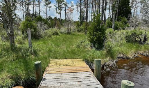 Photo #26 of SOLD property in 713 Sawyer Rd,  Scranton , NC 10.4 acres