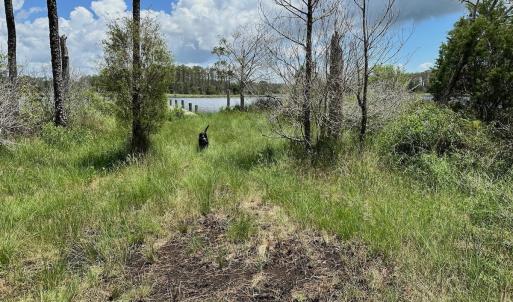 Photo #44 of SOLD property in 713 Sawyer Rd,  Scranton , NC 10.4 acres