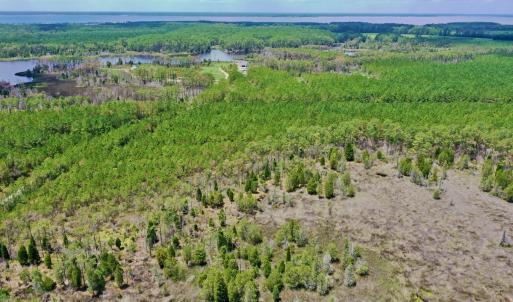 Photo #46 of SOLD property in 713 Sawyer Rd,  Scranton , NC 10.4 acres