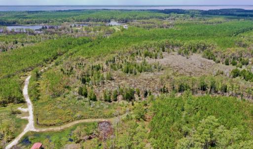 Photo #53 of SOLD property in 713 Sawyer Rd,  Scranton , NC 10.4 acres