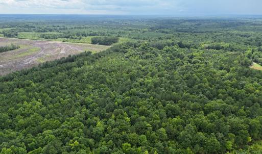 Photo #10 of SOLD property in Off Pairs Drive, Lawrenceville, VA 9.1 acres
