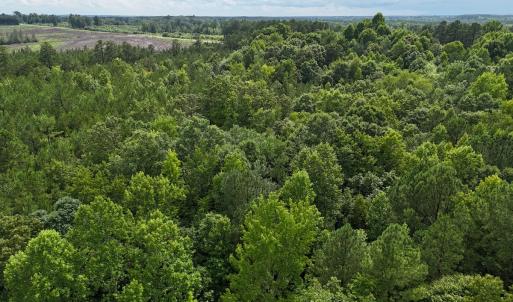 Photo #11 of SOLD property in Off Pairs Drive, Lawrenceville, VA 9.1 acres