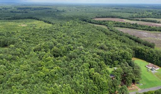 Photo #3 of SOLD property in Off Pairs Drive, Lawrenceville, VA 9.1 acres