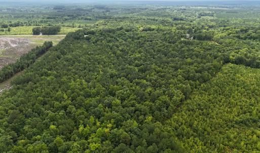 Photo #9 of SOLD property in Off Pairs Drive, Lawrenceville, VA 9.1 acres