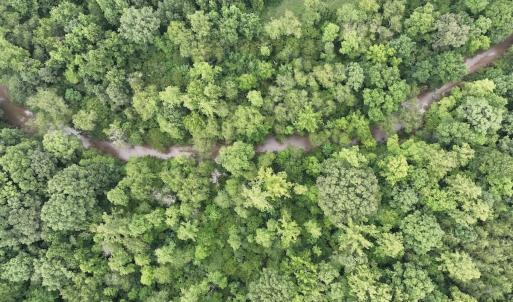 Photo #3 of SOLD property in Off Brookside Court, Axton, VA 10.0 acres