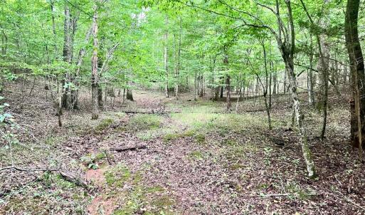 Photo #5 of SOLD property in Off Brookside Court, Axton, VA 10.0 acres