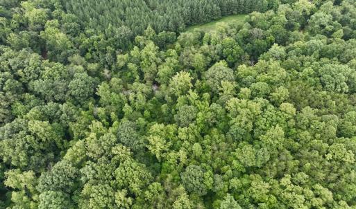 Photo #6 of SOLD property in Off Brookside Court, Axton, VA 10.0 acres