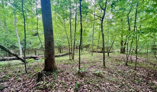 Photo #16 of SOLD property in Off Brookside Court, Axton, VA 10.0 acres