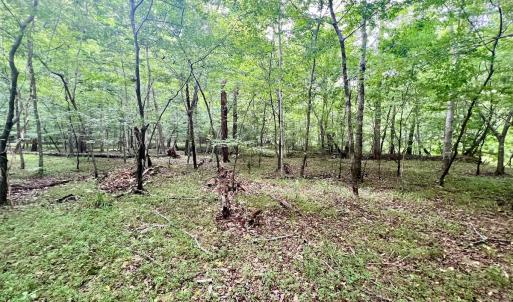Photo #17 of SOLD property in Off Brookside Court, Axton, VA 10.0 acres