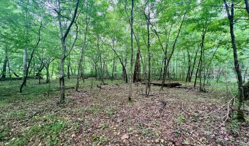 Photo #18 of SOLD property in Off Brookside Court, Axton, VA 10.0 acres