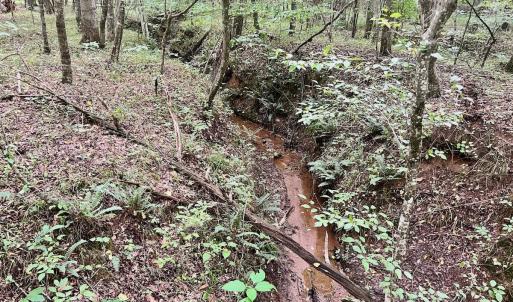 Photo #21 of SOLD property in Off Brookside Court, Axton, VA 10.0 acres