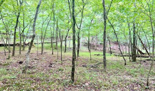 Photo #23 of SOLD property in Off Brookside Court, Axton, VA 10.0 acres