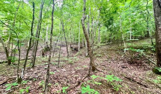 Photo #24 of SOLD property in Off Brookside Court, Axton, VA 10.0 acres