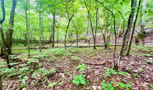 Photo #25 of SOLD property in Off Brookside Court, Axton, VA 10.0 acres