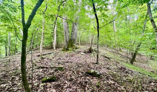 Photo #30 of SOLD property in Off Brookside Court, Axton, VA 10.0 acres