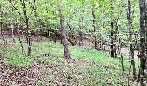 Photo #31 of SOLD property in Off Brookside Court, Axton, VA 10.0 acres