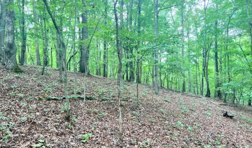 Photo #9 of SOLD property in Off Brookside Court, Axton, VA 10.0 acres
