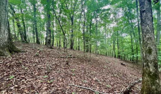 Photo #10 of SOLD property in Off Brookside Court, Axton, VA 10.0 acres