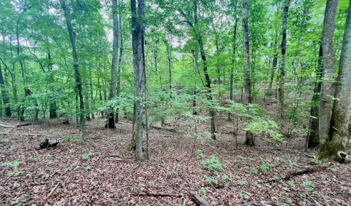 Photo #11 of SOLD property in Off Brookside Court, Axton, VA 10.0 acres
