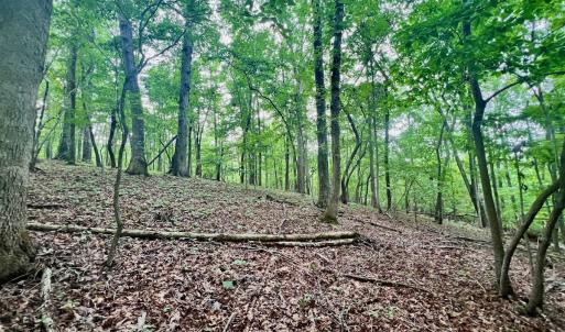 Photo #12 of SOLD property in Off Brookside Court, Axton, VA 10.0 acres