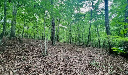 Photo #13 of SOLD property in Off Brookside Court, Axton, VA 10.0 acres