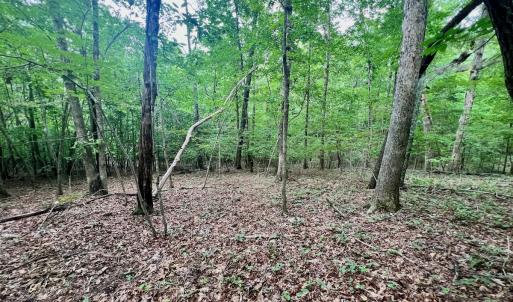 Photo #14 of SOLD property in Off Brookside Court, Axton, VA 10.0 acres