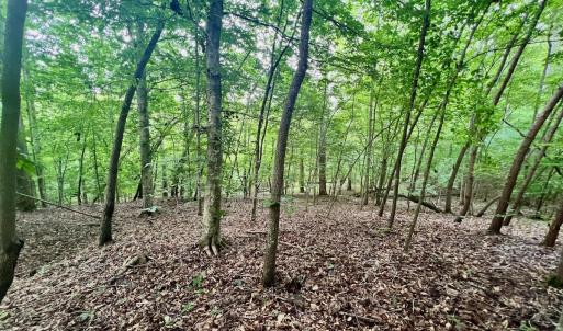 Photo #15 of SOLD property in Off Brookside Court, Axton, VA 10.0 acres