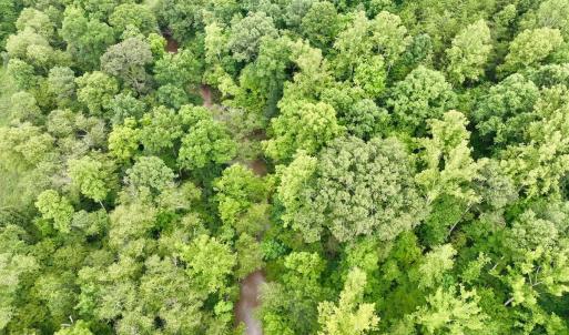 Photo #32 of SOLD property in Off Brookside Court, Axton, VA 10.0 acres