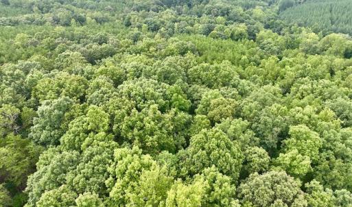Photo #39 of SOLD property in Off Brookside Court, Axton, VA 10.0 acres