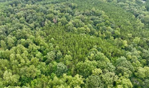 Photo #33 of SOLD property in Off Brookside Court, Axton, VA 10.0 acres