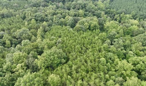Photo #41 of SOLD property in Off Brookside Court, Axton, VA 10.0 acres