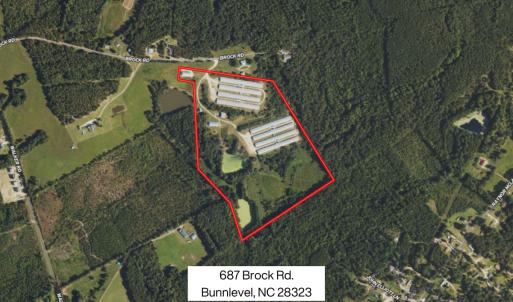 Photo #2 of 687 Brock Rd., Linden, NC 71.1 acres