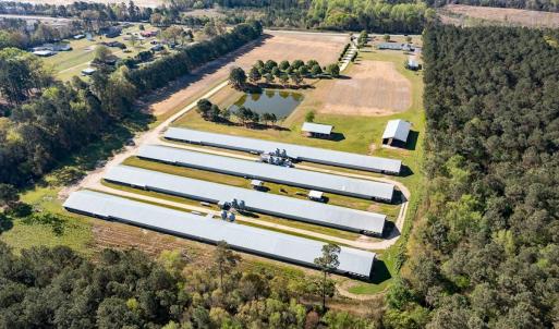Photo #23 of 687 Brock Rd., Linden, NC 71.1 acres