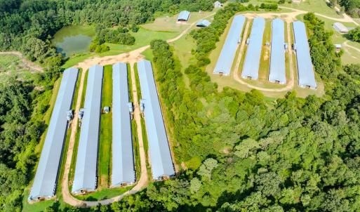 Photo #24 of 687 Brock Rd., Linden, NC 71.1 acres