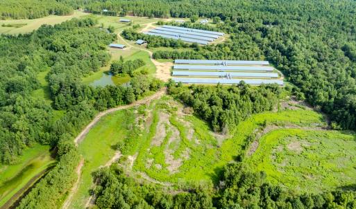Photo #26 of 687 Brock Rd., Linden, NC 71.1 acres