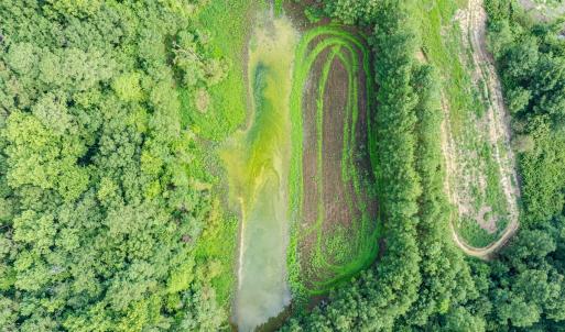 Photo #28 of 687 Brock Rd., Linden, NC 71.1 acres