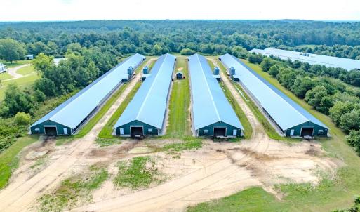 Photo #30 of 687 Brock Rd., Linden, NC 71.1 acres