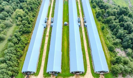 Photo #31 of 687 Brock Rd., Linden, NC 71.1 acres