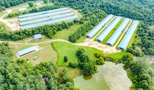 Photo #32 of 687 Brock Rd., Linden, NC 71.1 acres