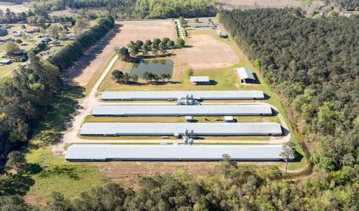 Photo #6 of 687 Brock Rd., Linden, NC 71.1 acres