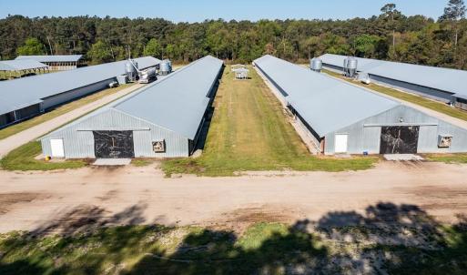 Photo #7 of 687 Brock Rd., Linden, NC 71.1 acres