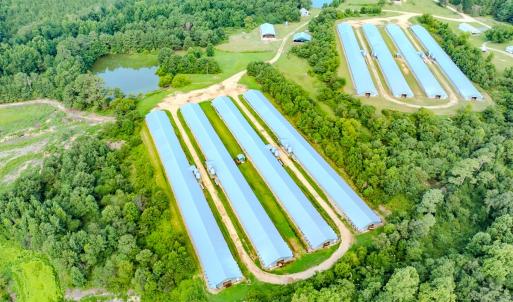 Photo #8 of 687 Brock Rd., Linden, NC 71.1 acres